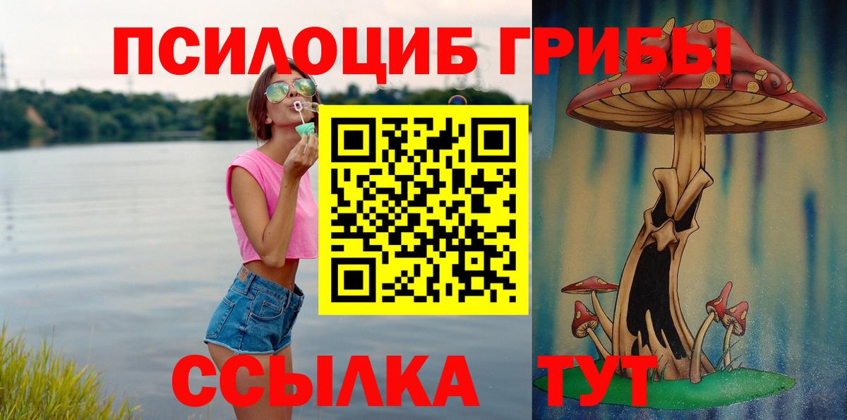 закладка  Галлюциногенные грибы MAGIC MUSHROOMS  Пугачёв  Вход с VPN  Галлюциногенные грибы GOLDEN TEACHER 