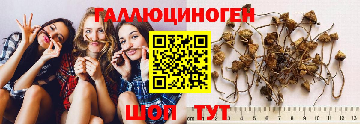 Галлюциногенные грибы MAGIC MUSHROOMS Пугачёв