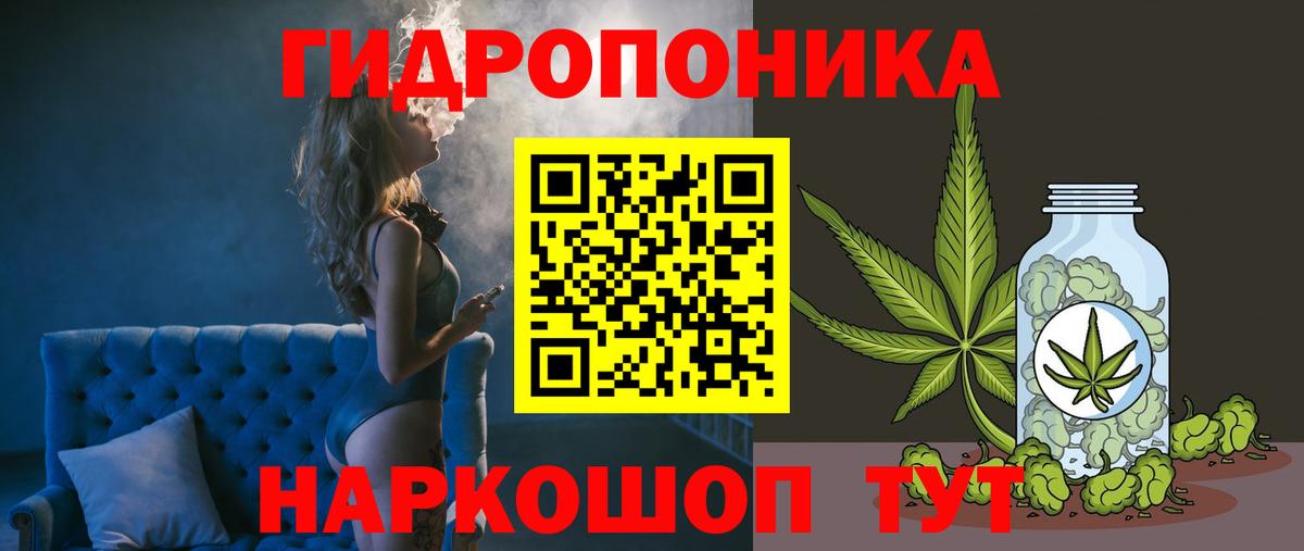 Каннабис Amnesia Пугачёв